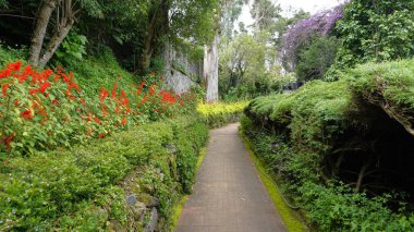 Chettiar Park 'ın güzel manzaralı bahçesi, Kodaikanal. Her yeri yemyeşil ve nefis manzaralarla kaplıydı..