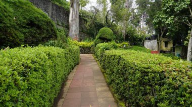 Chettiar Park 'ın güzel manzaralı bahçesi, Kodaikanal. Her yeri yemyeşil ve nefis manzaralarla kaplıydı..