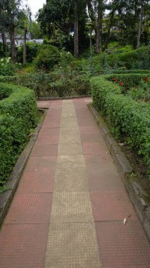 Chettiar Park 'ın güzel manzaralı bahçesi, Kodaikanal. Her yeri yemyeşil ve nefis manzaralarla kaplıydı..