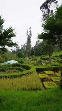 Chettiar Park 'ın güzel manzaralı bahçesi, Kodaikanal. Her yeri yemyeşil ve nefis manzaralarla kaplıydı..