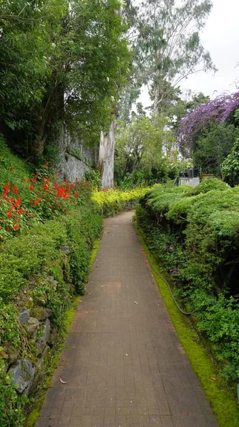 Chettiar Park 'ın güzel manzaralı bahçesi, Kodaikanal. Her yeri yemyeşil ve nefis manzaralarla kaplıydı..