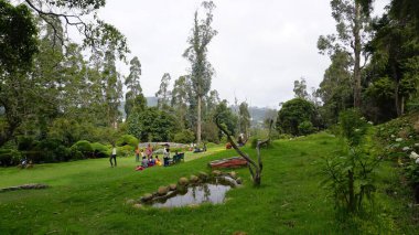 Kodaikanal, Hindistan - 02 Temmuz 2023: Chettiar Park 'ın güzel manzaralı bahçesinin tadını çıkaran turistler.