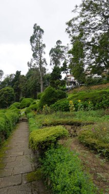 Kodaikanal, Hindistan - 02 Temmuz 2023: Chettiar Park 'ın güzel manzaralı bahçesinin tadını çıkaran turistler.