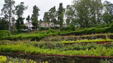 Kodaikanal, Hindistan - 02 Temmuz 2023: Chettiar Park 'ın güzel manzaralı bahçesinin tadını çıkaran turistler.