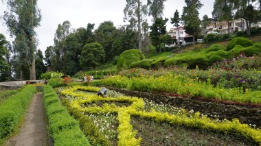Kodaikanal, Hindistan - 02 Temmuz 2023: Chettiar Park 'ın güzel manzaralı bahçesinin tadını çıkaran turistler.
