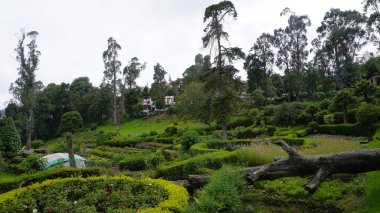 Kodaikanal, Hindistan - 02 Temmuz 2023: Chettiar Park 'ın güzel manzaralı bahçesinin tadını çıkaran turistler.