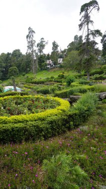 Kodaikanal, Hindistan - 02 Temmuz 2023: Chettiar Park 'ın güzel manzaralı bahçesinin tadını çıkaran turistler.