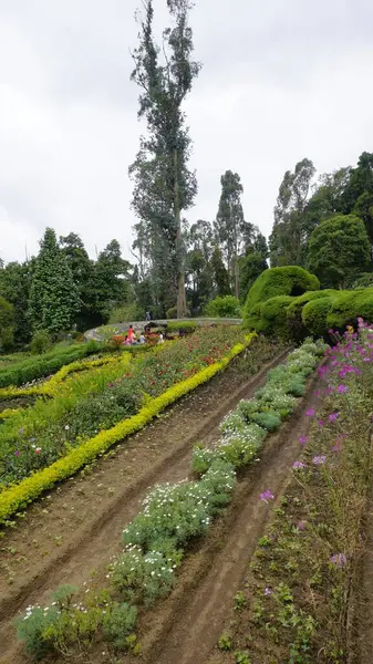 Kodaikanal, Hindistan - 02 Temmuz 2023: Chettiar Park 'ın güzel manzaralı bahçesinin tadını çıkaran turistler.