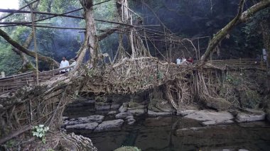 Mawlynnong, Hindistan - 02 Aralık 2023: Meghalaya 'nın Yaşayan Kök Köprülerinin keyfini süren turistler. Doğu Khasi Hills bölgesindeki Mawlynnong 'da yer alıyor..