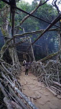 Mawlynnong, India - December 02 2023: Tourists enjoying the Living Root Bridges of Meghalaya. Located in Mawlynnong in the East Khasi Hills district. clipart