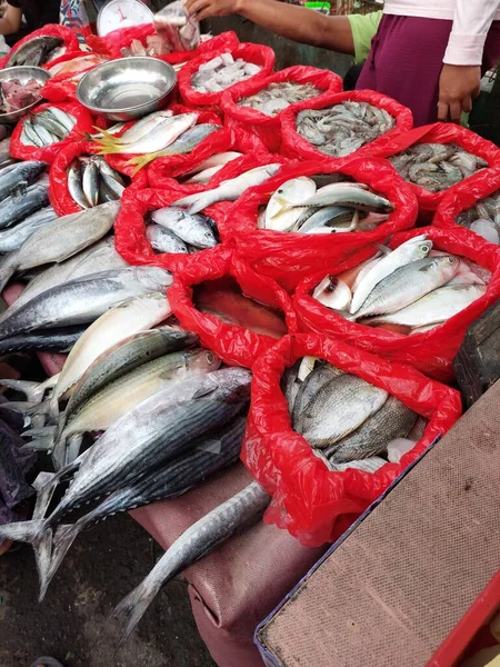 生鮮食品の販売 魚市場の氷の上の新鮮な魚介類 — ストック写真