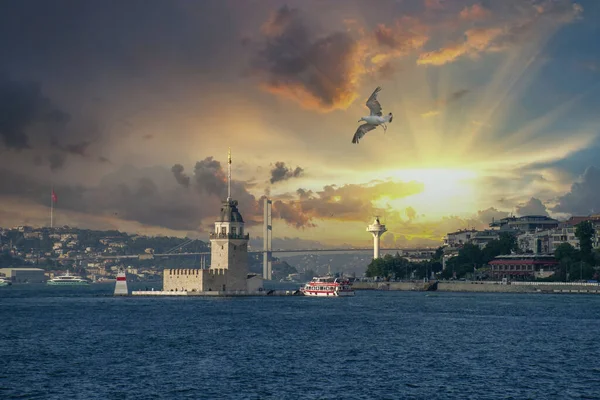 Чайка Возле Девичьей Башни Kiz Kulesi Стамбуле Летом Вечером Облачным — стоковое фото