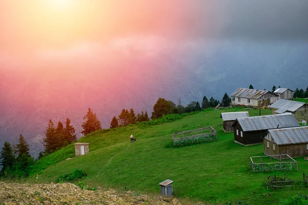 stock image Old man working in the highland. Landscape photo was taken in summer.