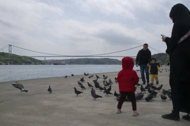 18.04.2024, İstanbul, Türkiye: Arka planda güvercinler, Boğazdaki insanlar ve Boğaz ve Fatih Sultan Mehmet Köprüsü manzarası