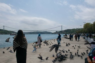 18.04.2024, İstanbul, Türkiye: Arka planda güvercinler, Boğazdaki insanlar ve Boğaz ve Fatih Sultan Mehmet Köprüsü manzarası