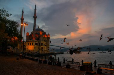 İstanbul sabah manzarası. Ortaklık Camii ve Boğaz Köprüsü 'nün (15 Temmuz Şehitler Köprüsü) martılı görüntüsü