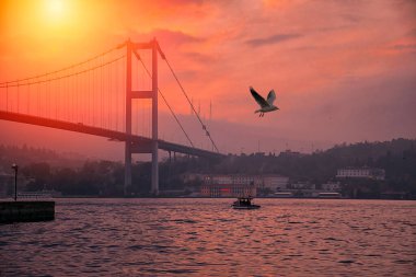 Party 'den İstanbul Köprüsü (15 Temmuz Şehitler Köprüsü) akşam görüntüsü.