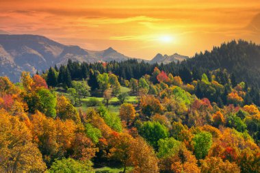 Savsat Village Fotoğrafı 'nda Muhteşem Sonbahar Renkleri, Savsat Artvin, Türkiye. Artvin-Savsat 'tan harika bir gün batımı manzarası.