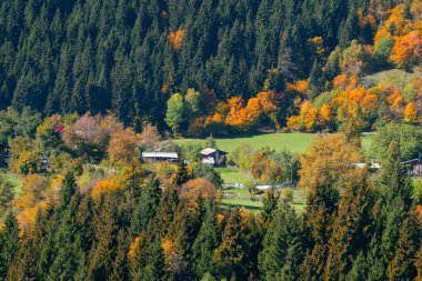 Savsat Village Fotoğrafı 'nda Muhteşem Sonbahar Renkleri, Savsat Artvin, Türkiye. Artvin-Savsat 'tan harika bir gün batımı manzarası.