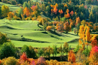 Savsat Village Fotoğrafı 'nda Muhteşem Sonbahar Renkleri, Savsat Artvin, Türkiye. Artvin-Savsat 'tan harika bir gün batımı manzarası.