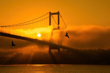 15 Temmuz Şehitler Köprüsü (Boğaz Köprüsü), sis bulutlarında martı ve gün doğumuyla birlikte görülüyor. Ortakoy 'daki Şehitler Köprüsü' nden sisli bir manzara.
