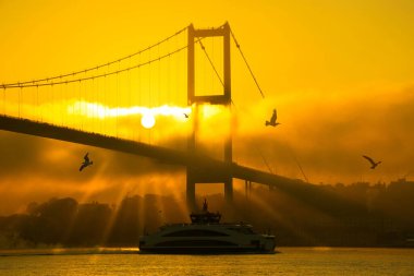 15 Temmuz Şehitler Köprüsü (Boğaz Köprüsü), sis bulutlarında martı ve gün doğumuyla birlikte görülüyor. Şehir hatları feribotu Foggy Boğazı 'nda ve 15 Temmuz Şehitler Köprüsü' nün altında..