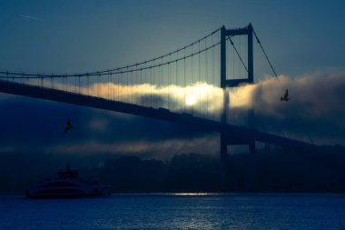 15 Temmuz Şehitler Köprüsü (Boğaz Köprüsü), sis bulutlarında martı ve gün doğumuyla birlikte görülüyor. Şehir hatları feribotu Foggy Boğazı 'nda ve 15 Temmuz Şehitler Köprüsü' nün altında..