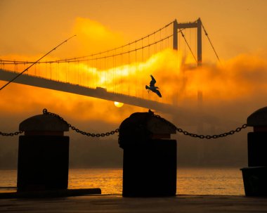 15 Temmuz Şehitler Köprüsü (Boğaz Köprüsü), sis bulutlarında martı ve gündoğumu. Ortakoy 'daki Şehitler Köprüsü' nden sisli bir manzara.