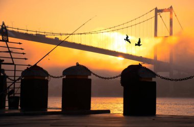 15 Temmuz Şehitler Köprüsü (Boğaz Köprüsü), sis bulutlarında martı ve gündoğumu. Ortakoy 'daki Şehitler Köprüsü' nden sisli bir manzara.