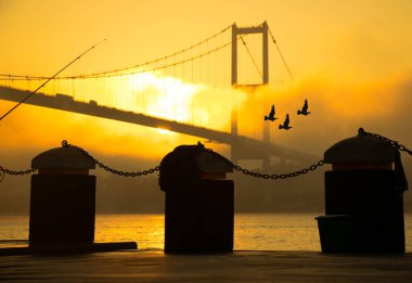 15 Temmuz Şehitler Köprüsü (Boğaz Köprüsü), sis bulutlarında martı ve gündoğumu. Ortakoy 'daki Şehitler Köprüsü' nden sisli bir manzara.