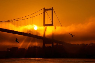15 Temmuz Şehitler Köprüsü (Boğaz Köprüsü), sis bulutlarında martı ve gün doğumuyla birlikte görülüyor. Ortakoy 'daki Şehitler Köprüsü' nden sisli bir manzara.