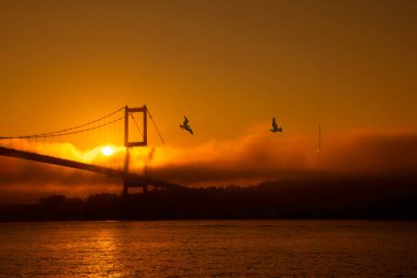 15 Temmuz Şehitler Köprüsü (Boğaz Köprüsü), sis bulutlarında martı ve gün doğumuyla birlikte görülüyor. Ortakoy 'daki Şehitler Köprüsü' nden sisli bir manzara.