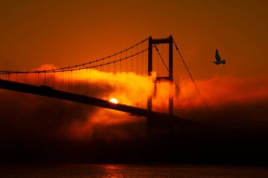 15 Temmuz Şehitler Köprüsü (Boğaz Köprüsü), sis bulutlarında martı ve gün doğumuyla birlikte görülüyor. Ortakoy 'daki Şehitler Köprüsü' nden sisli bir manzara.