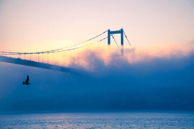 15 Temmuz Şehitler Köprüsü (Boğaz Köprüsü), sis bulutlarında martı ve gün doğumuyla birlikte görülüyor. Ortakoy 'daki Şehitler Köprüsü' nden sisli bir manzara.