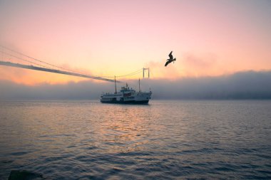 15 Temmuz Şehitler Köprüsü 'nün sisli bulutlarda martı ve gündoğumu manzarası. Şehir hatları feribotu Sis Boğazı 'nda ve Boğaz Köprüsü' nün altında hareket ediyor..