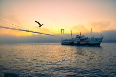 15 Temmuz Şehitler Köprüsü 'nün sisli bulutlarda martı ve gündoğumu manzarası. Şehir hatları feribotu Sis Boğazı 'nda ve Boğaz Köprüsü' nün altında hareket ediyor..