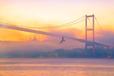 15 Temmuz Şehitler Köprüsü (Boğaz Köprüsü), sis bulutlarında martı ve gün doğumuyla birlikte görülüyor. Sisli boğazda balıkçı tekneleri.