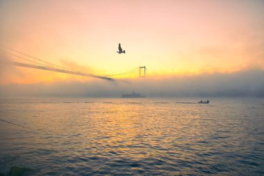 15 Temmuz Şehitler Köprüsü (Boğaz Köprüsü), sis bulutlarında martı ve gün doğumuyla birlikte görülüyor. Sisli boğazda balıkçı tekneleri.