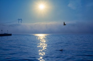 15 Temmuz Şehitler Köprüsü (Boğaz Köprüsü), sis bulutlarında martı ve gün doğumuyla birlikte görülüyor. Ortakoy Camii 'nden sisli sabah manzarası ve 15 Şehitler Köprüsü. 