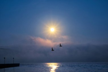 15 Temmuz Şehitler Köprüsü (Boğaz Köprüsü), sis bulutlarında martı ve gün doğumuyla birlikte görülüyor. Ortakoy Camii 'nden sisli sabah manzarası ve 15 Şehitler Köprüsü. 