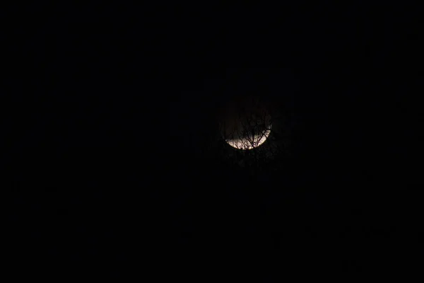 Zaćmienie Księżyca Nad Joplin Missouri Stycznia 2018 — Zdjęcie stockowe
