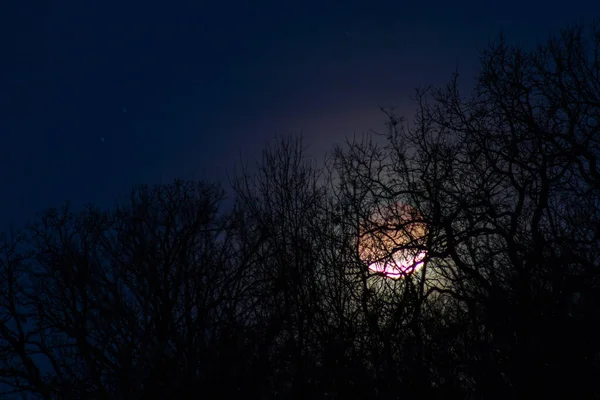 2018年1月31日在密苏里州Joplin上空的月蚀 — 图库照片