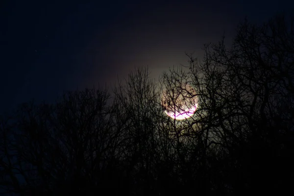 2018年1月31日在密苏里州Joplin上空的月蚀 — 图库照片