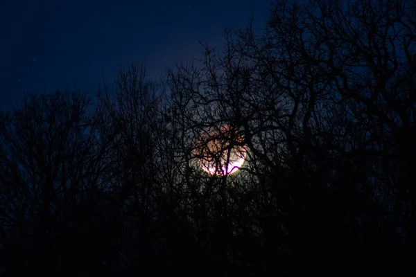 Eclipse Lunar Sobre Joplin Missouri Enero 2018 — Foto de Stock