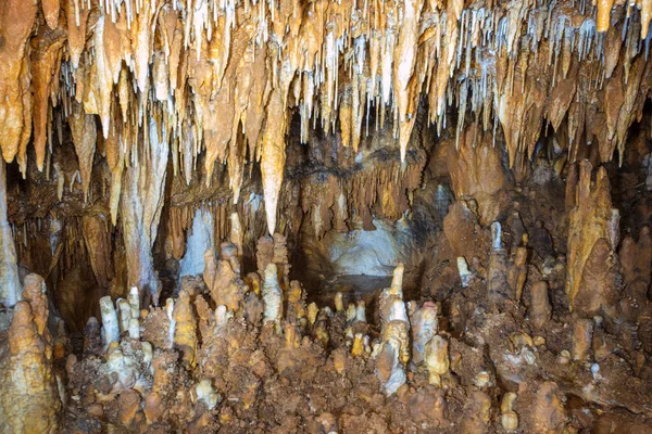 Leasburg Missouri Deki Onondaga Mağara Eyalet Parkı Ndaki Katedral Mağarası — Stok fotoğraf