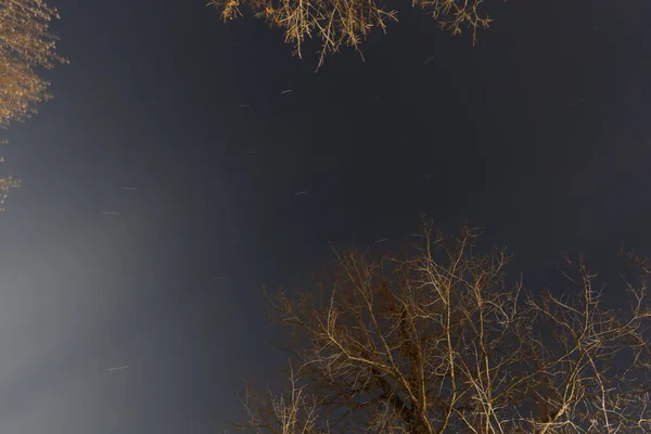 Nacht Luchten Met Bomen Sterren — Stockfoto