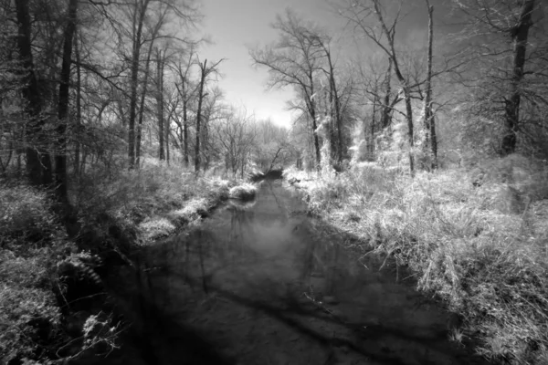 Prairie State Park Liberal Missouri Infrared — Stock Photo, Image