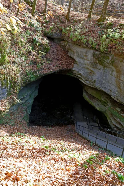 Kentucky Deki Mamut Mağarası Ulusal Parkı — Stok fotoğraf