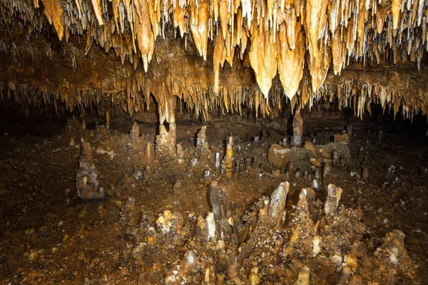 Cathedral Cave Onondaga Cave State Park Leasburg Missouri Ліцензійні Стокові Фото