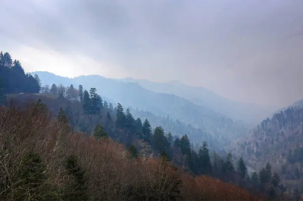 Parque Nacional Great Smoky Mountains Tennessee Carolina Del Norte —  Fotos de Stock